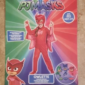 Owlette (PJ Mask) costume